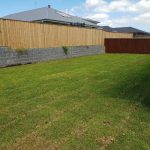 Backyard with fresh turf — Landscape Service in Newcastle